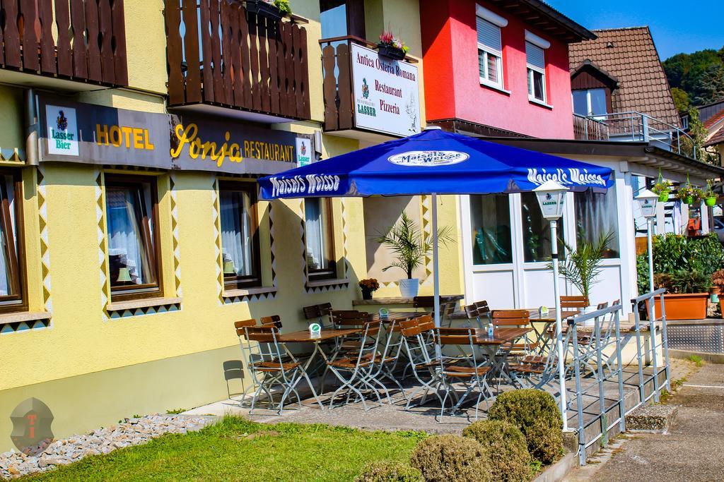Hotel Sonja Bad Bellingen Extérieur photo